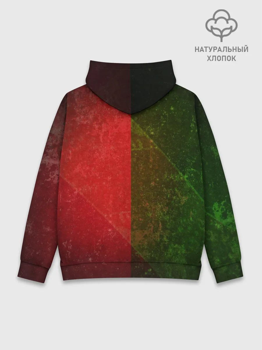 Худи мужской база хлопок / Локомотив