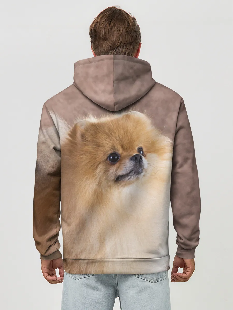 Худи мужской база хлопок / Шпитс