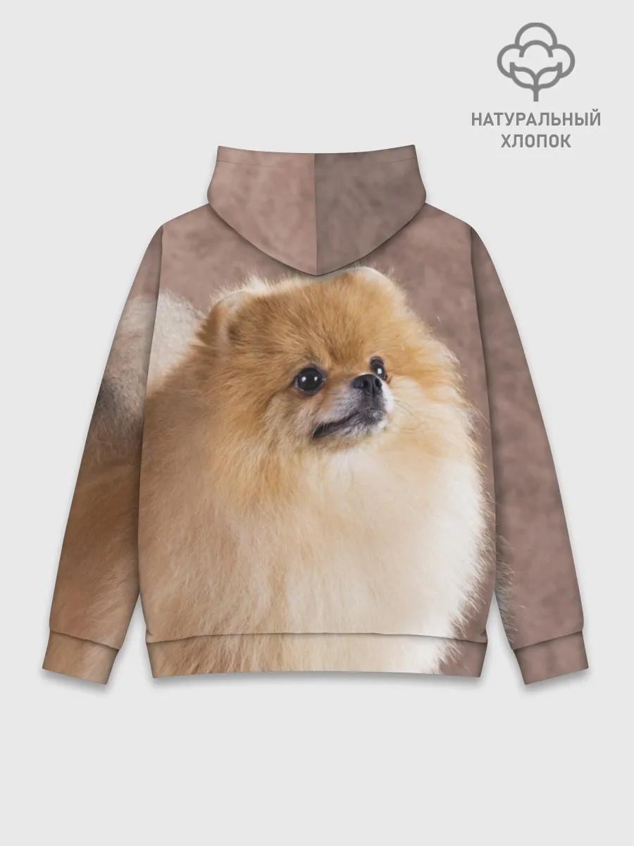 Худи мужской база хлопок / Шпитс