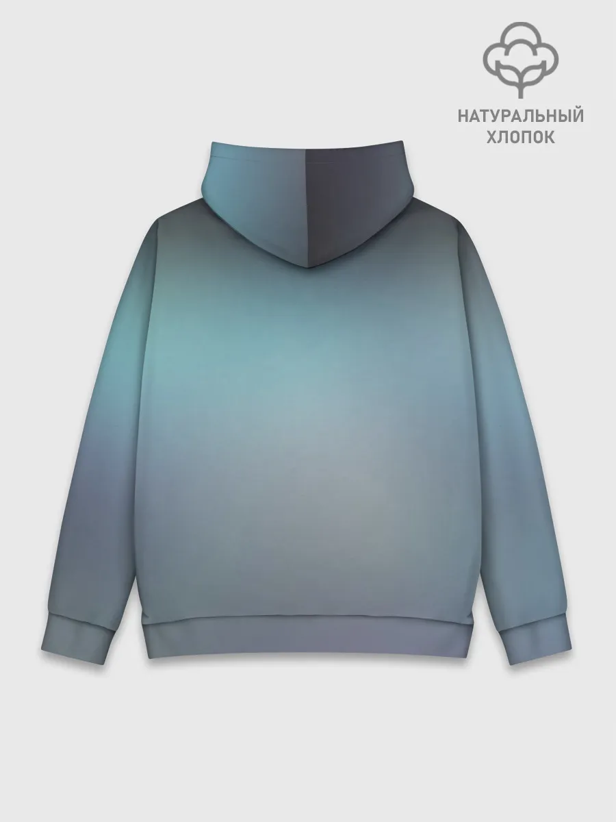 Худи мужской база хлопок / Song