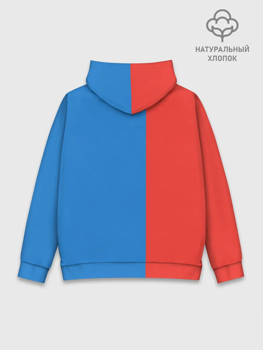 Худи мужской база хлопок / RUSSIA