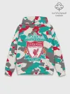 Худи мужской база хлопок / FC Liverpool