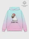 Худи мужской база хлопок / Funny PUG