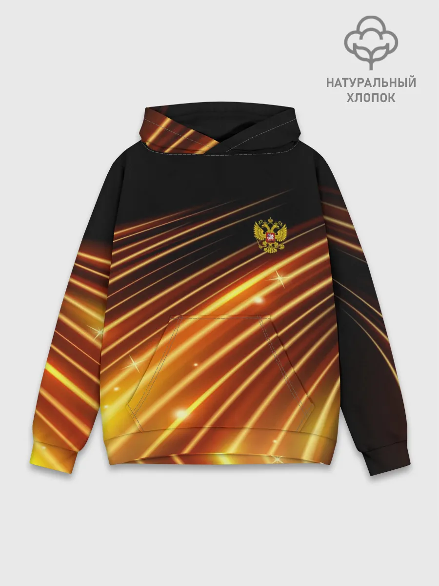 Худи мужской база хлопок / Russia Sport 2018 uniform