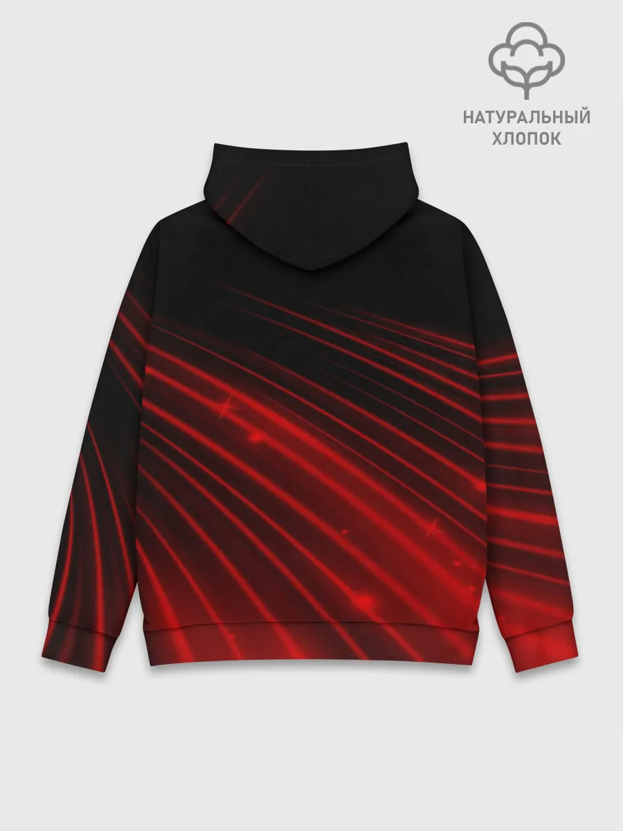 Худи мужской база хлопок / Russia Sport 2018 uniform