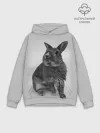 Худи мужской база хлопок / Кролик