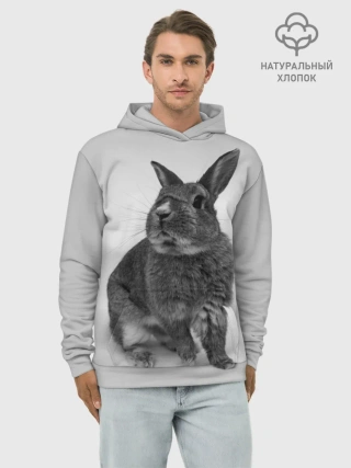 Худи мужской база хлопок / Кролик