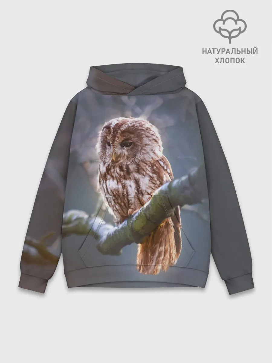 Худи мужской база хлопок / Сова
