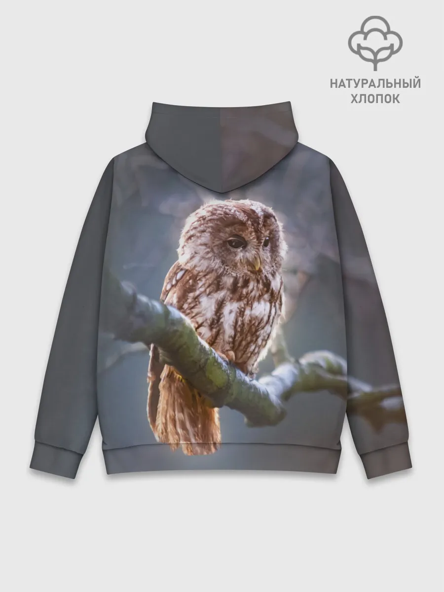 Худи мужской база хлопок / Сова