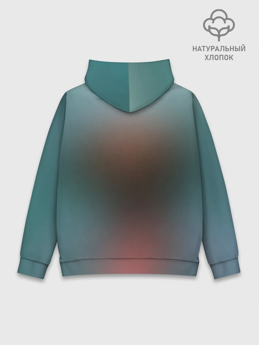 Худи мужской база хлопок / Rei Ayanami