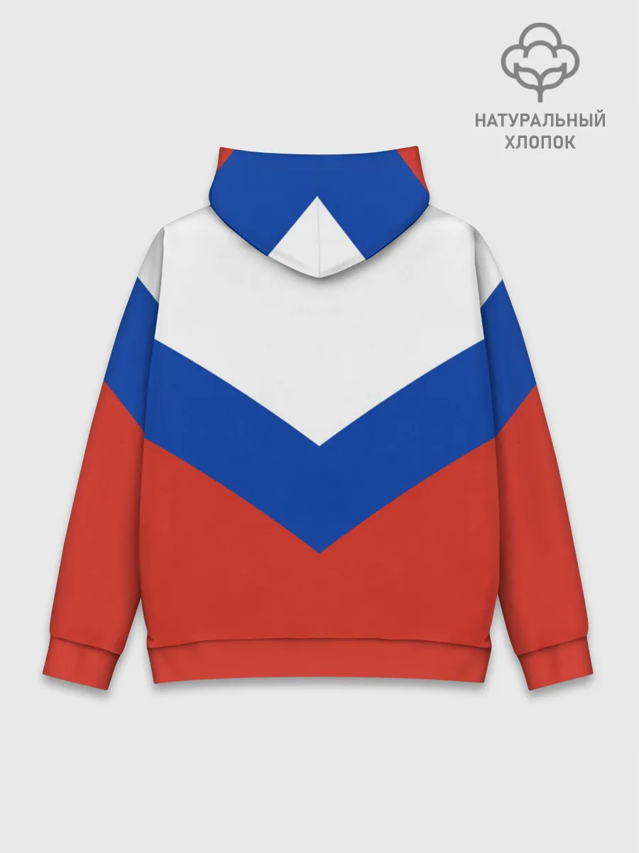 Худи мужской база хлопок / Combat sambo RU