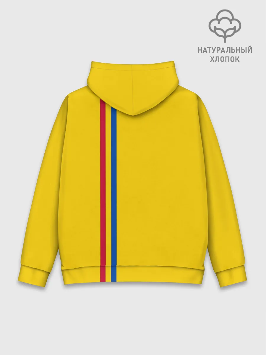 Худи мужской база хлопок / Молдавия, лента с гербом