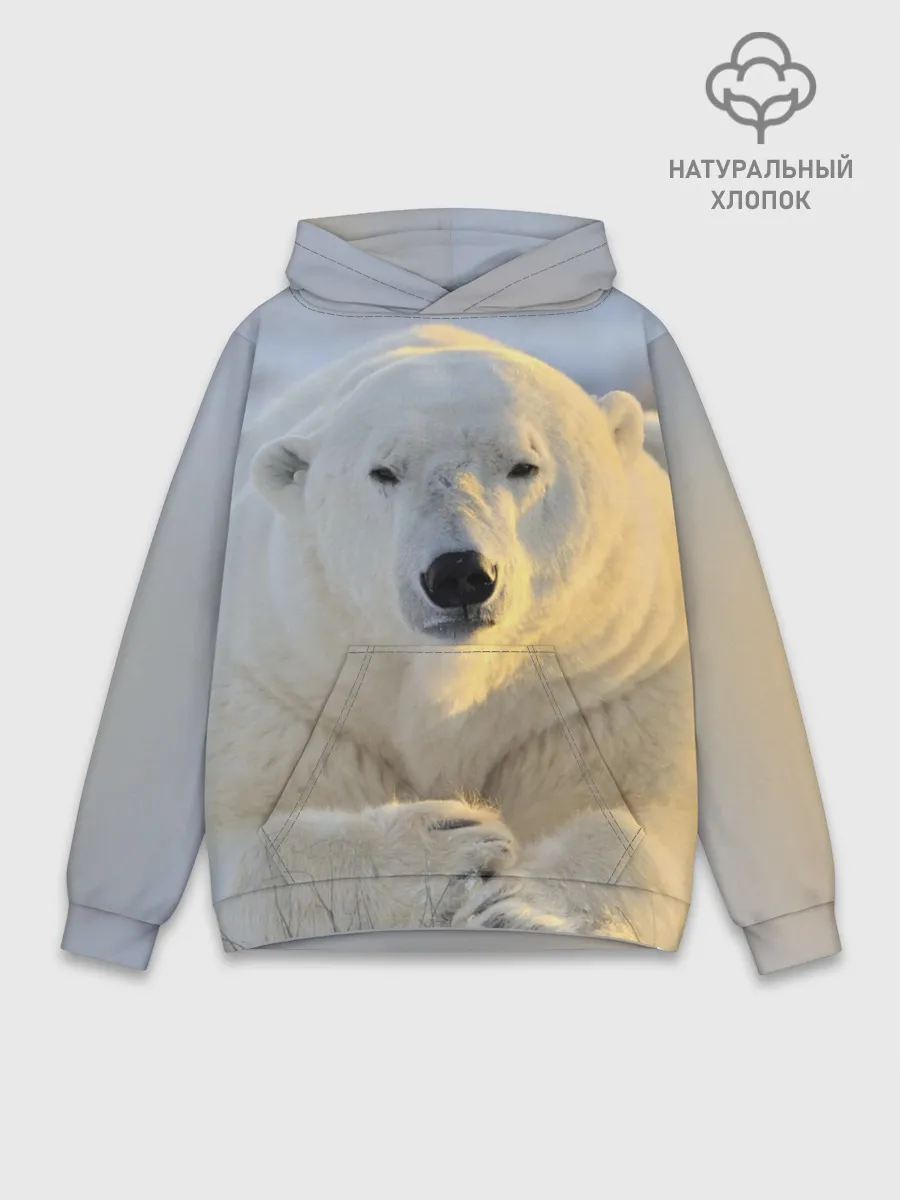Худи мужской база хлопок / Медведь