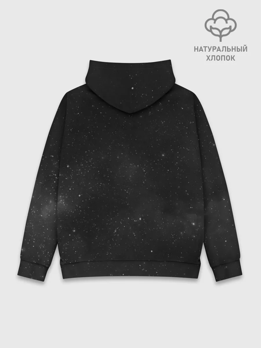 Худи мужской база хлопок / Sorry, I Dont Speak Human