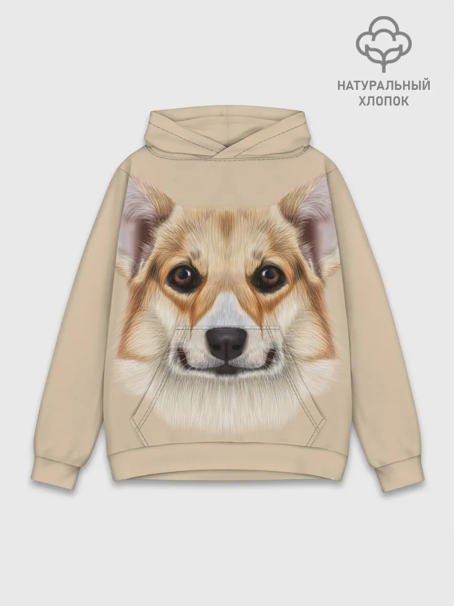 Худи мужской база хлопок / Pembroke