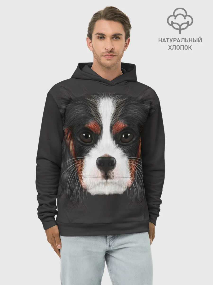 Худи мужской база хлопок / Cavalier King Charles