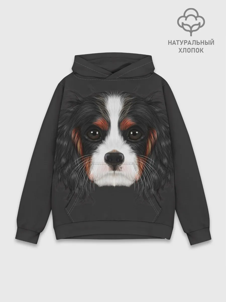 Худи мужской база хлопок / Cavalier King Charles