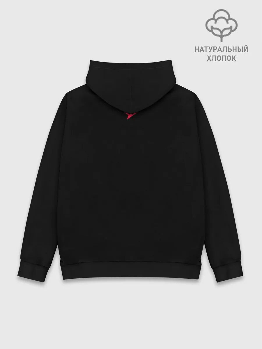 Худи мужской база хлопок / Astalis - The Form