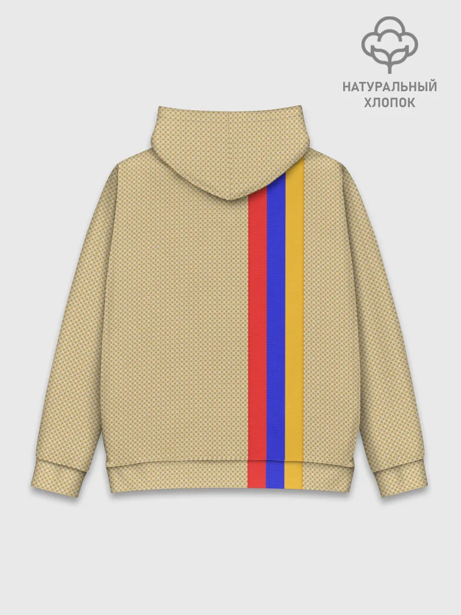 Худи мужской база хлопок / Armenia