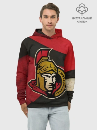 Худи мужской база хлопок / Оттава