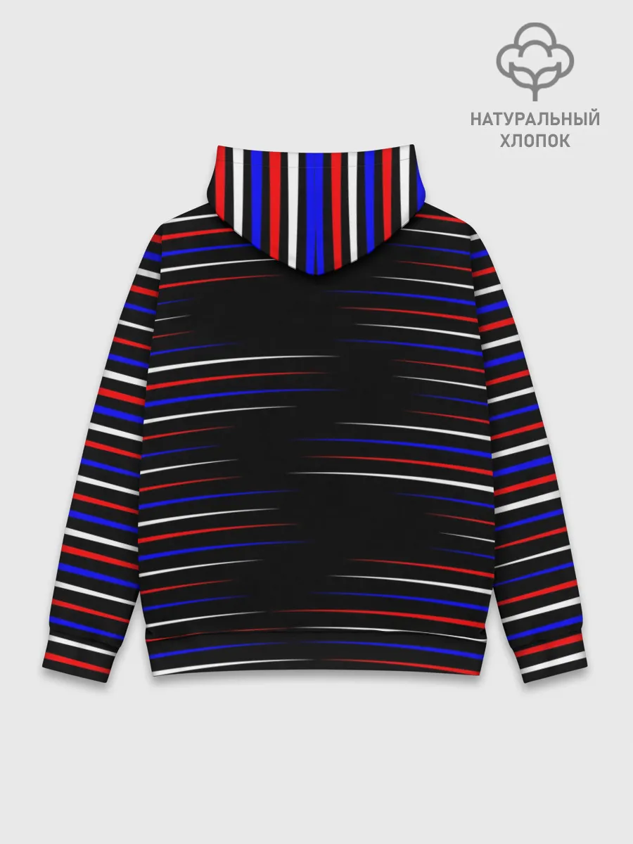 Худи мужской база хлопок / RUSSIA.