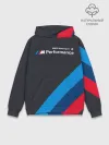 Худи мужской база хлопок / BMW Performance