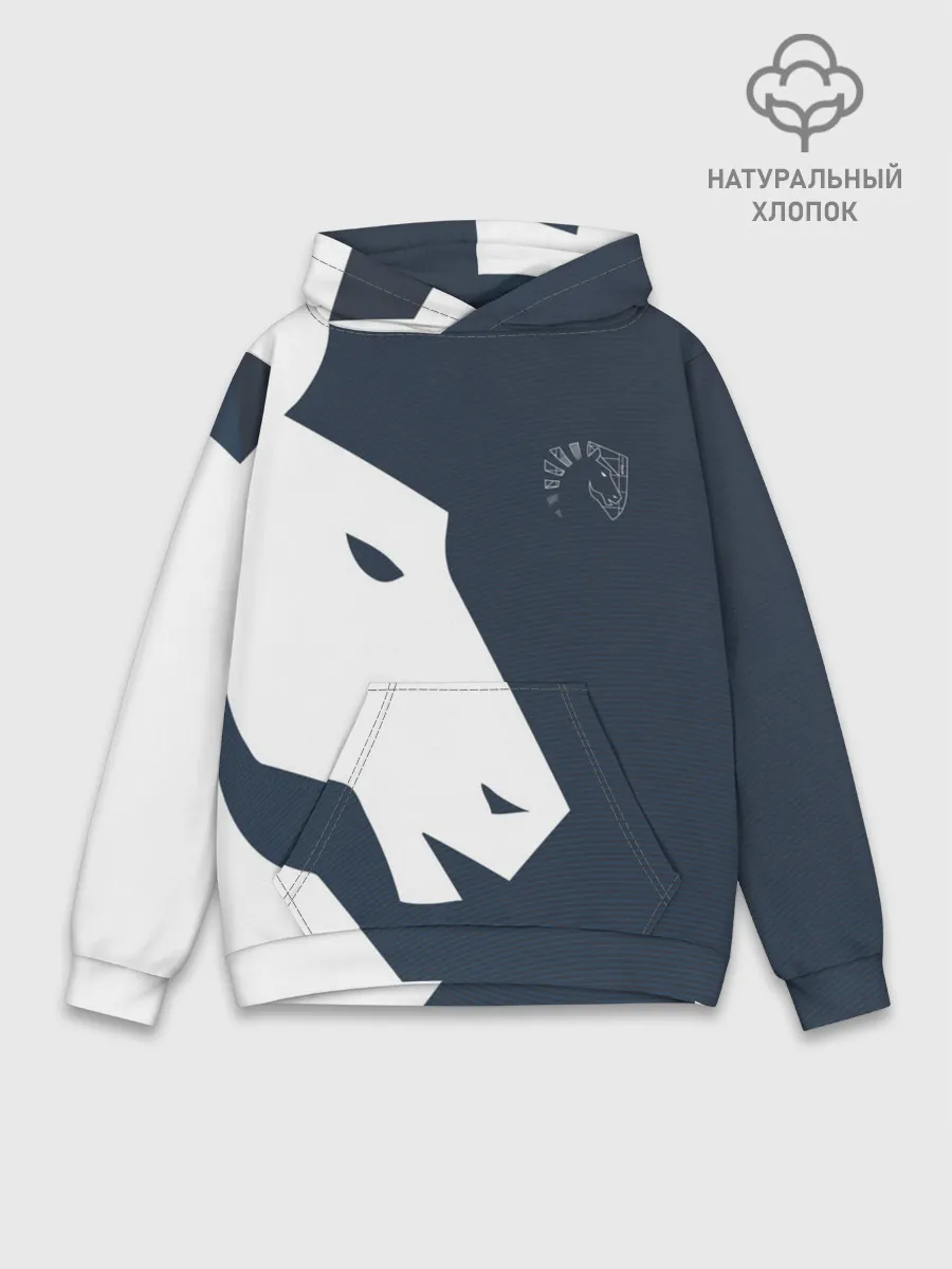 Худи мужской база хлопок / cs:go - Liquid team