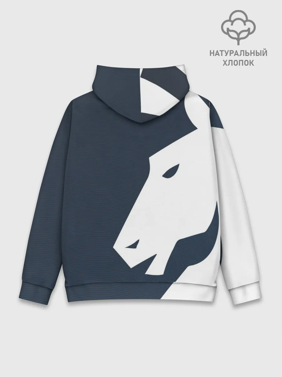 Худи мужской база хлопок / cs:go - Liquid team