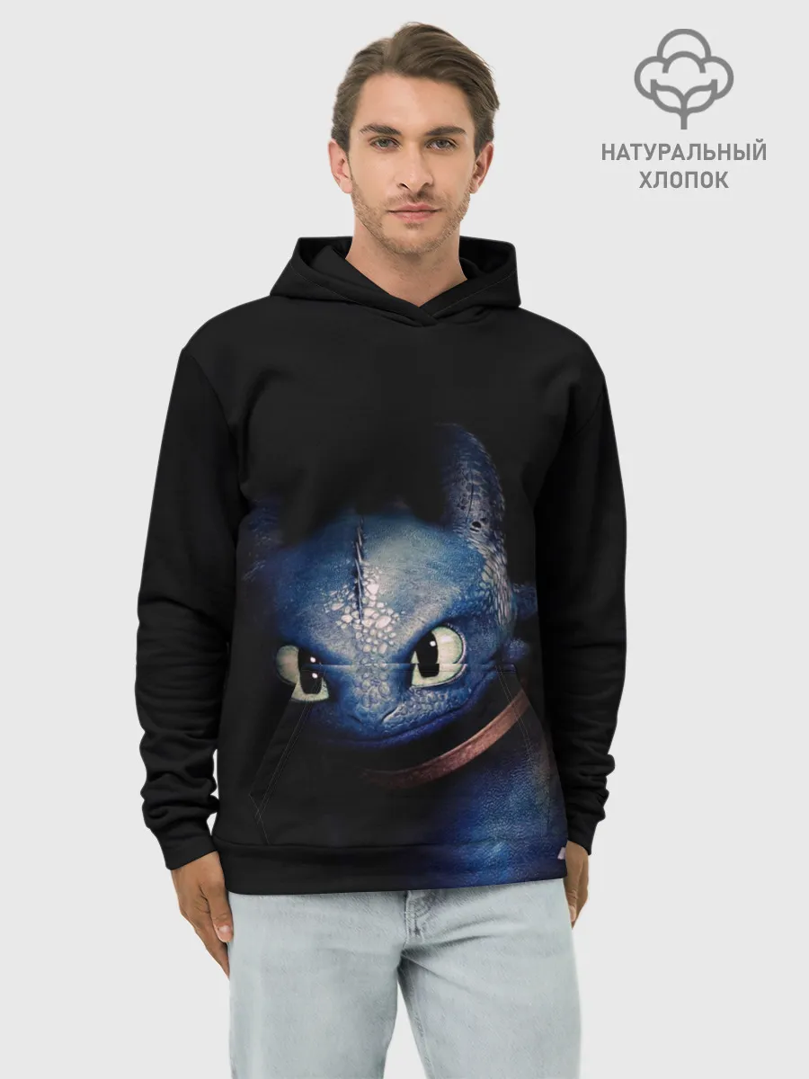 Худи мужской база хлопок / как приручить дракона
