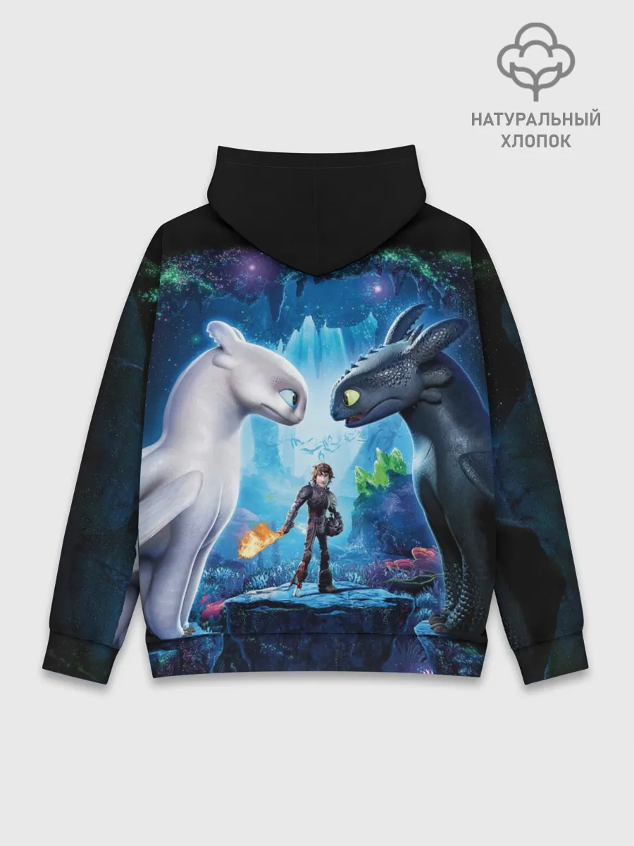 Худи мужской база хлопок / как приручить дракона