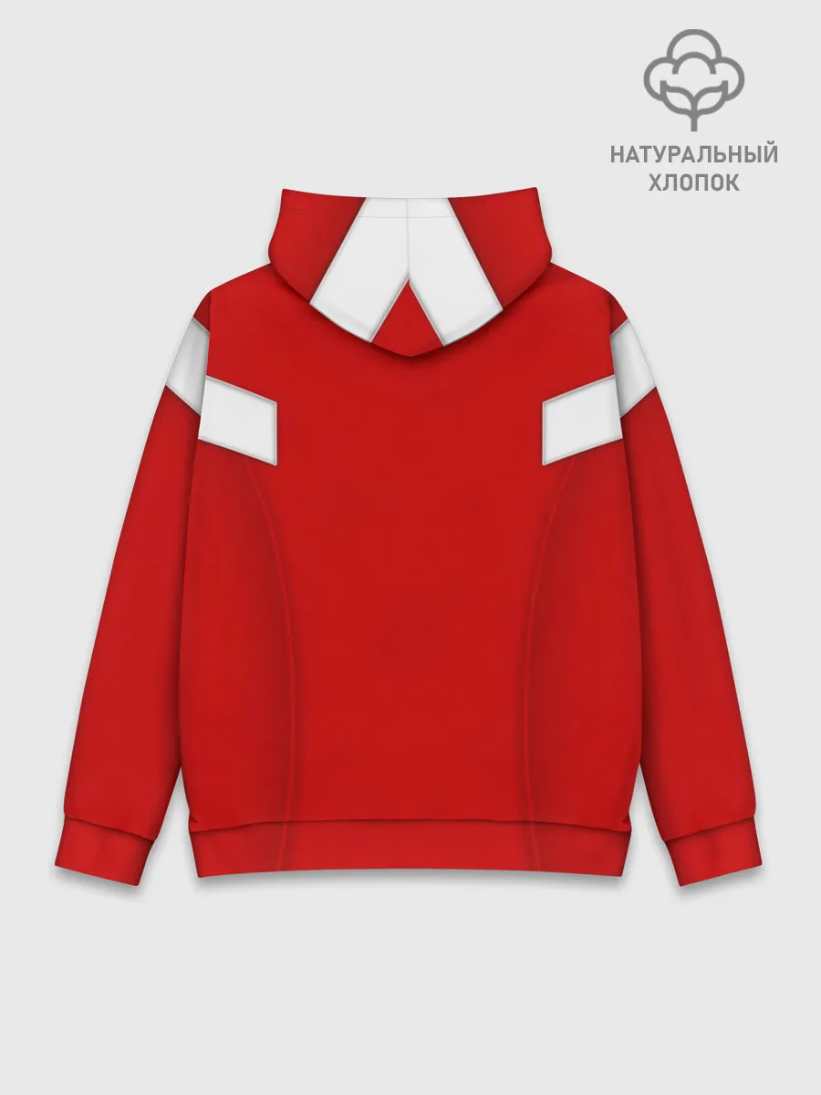 Худи мужской база хлопок / Сборная России