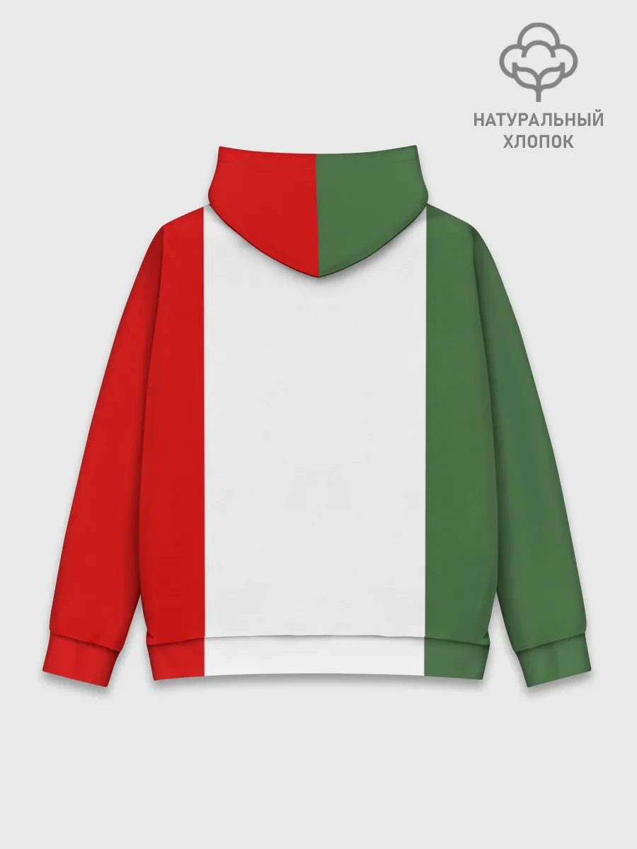 Худи мужской база хлопок / Мексика Чемпионат Мира