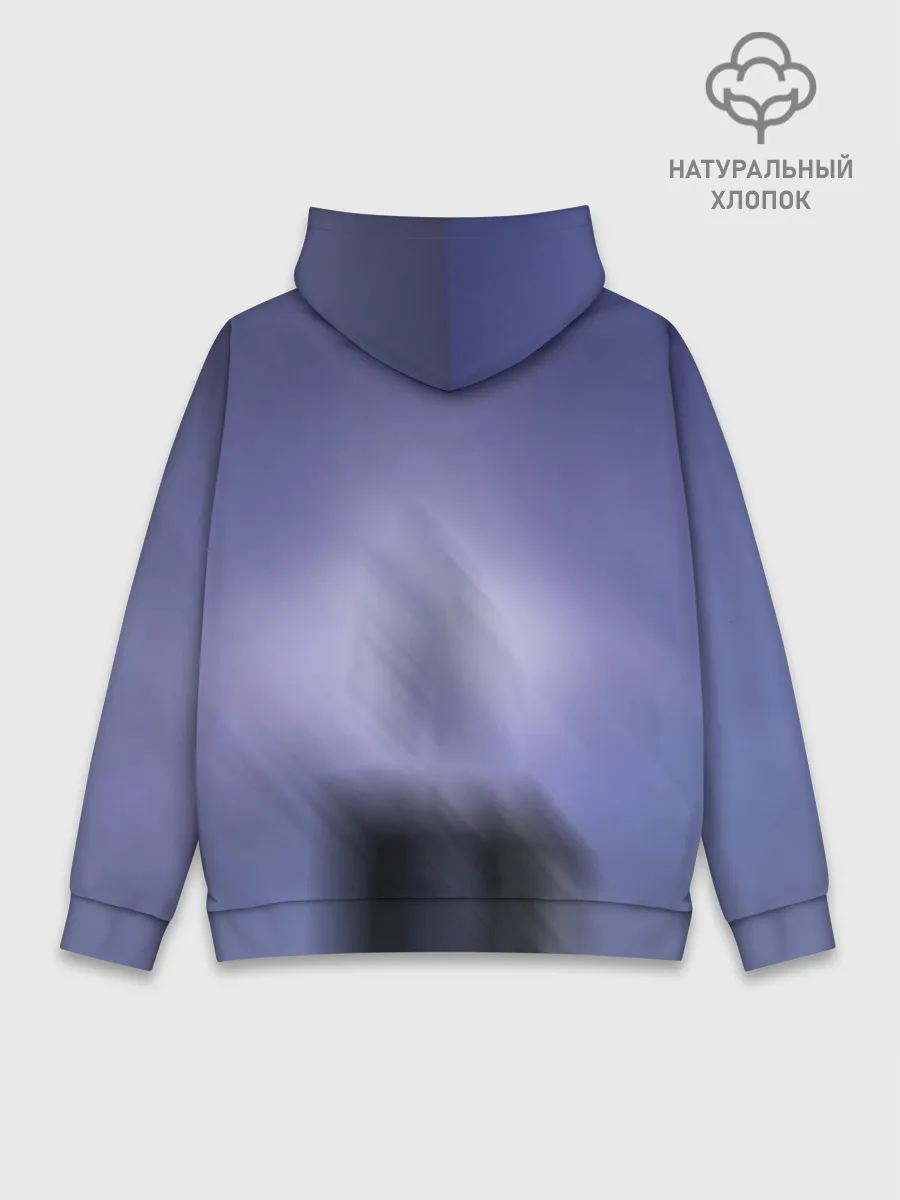 Худи мужской база хлопок / DESTINY 2 FORSAKEN