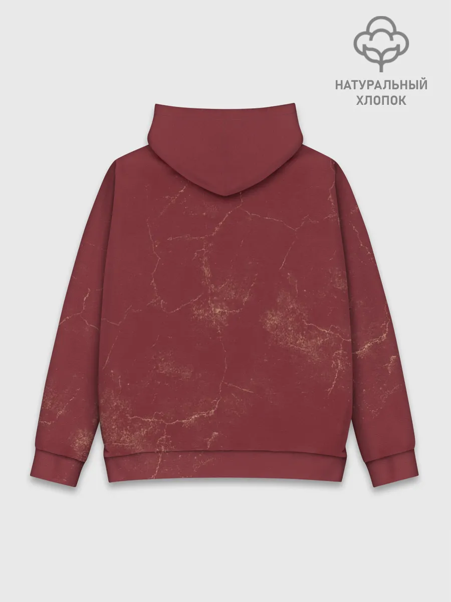 Худи мужской база хлопок / A fever cant sweat out