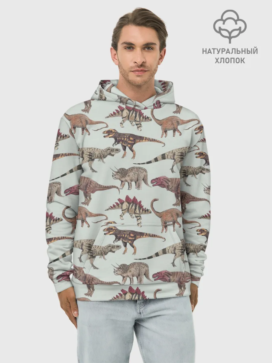 Худи мужской база хлопок / Динозавры