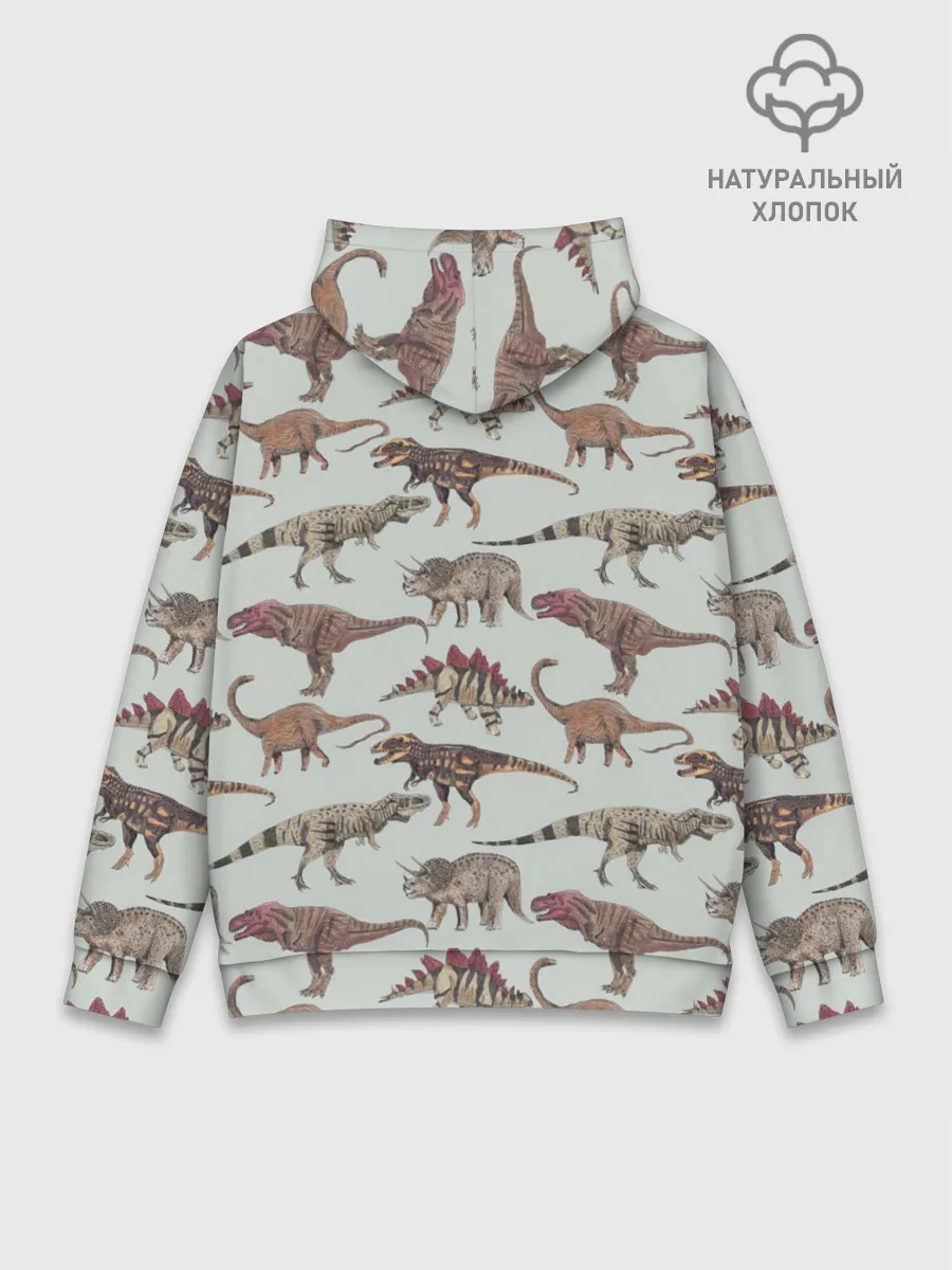 Худи мужской база хлопок / Динозавры
