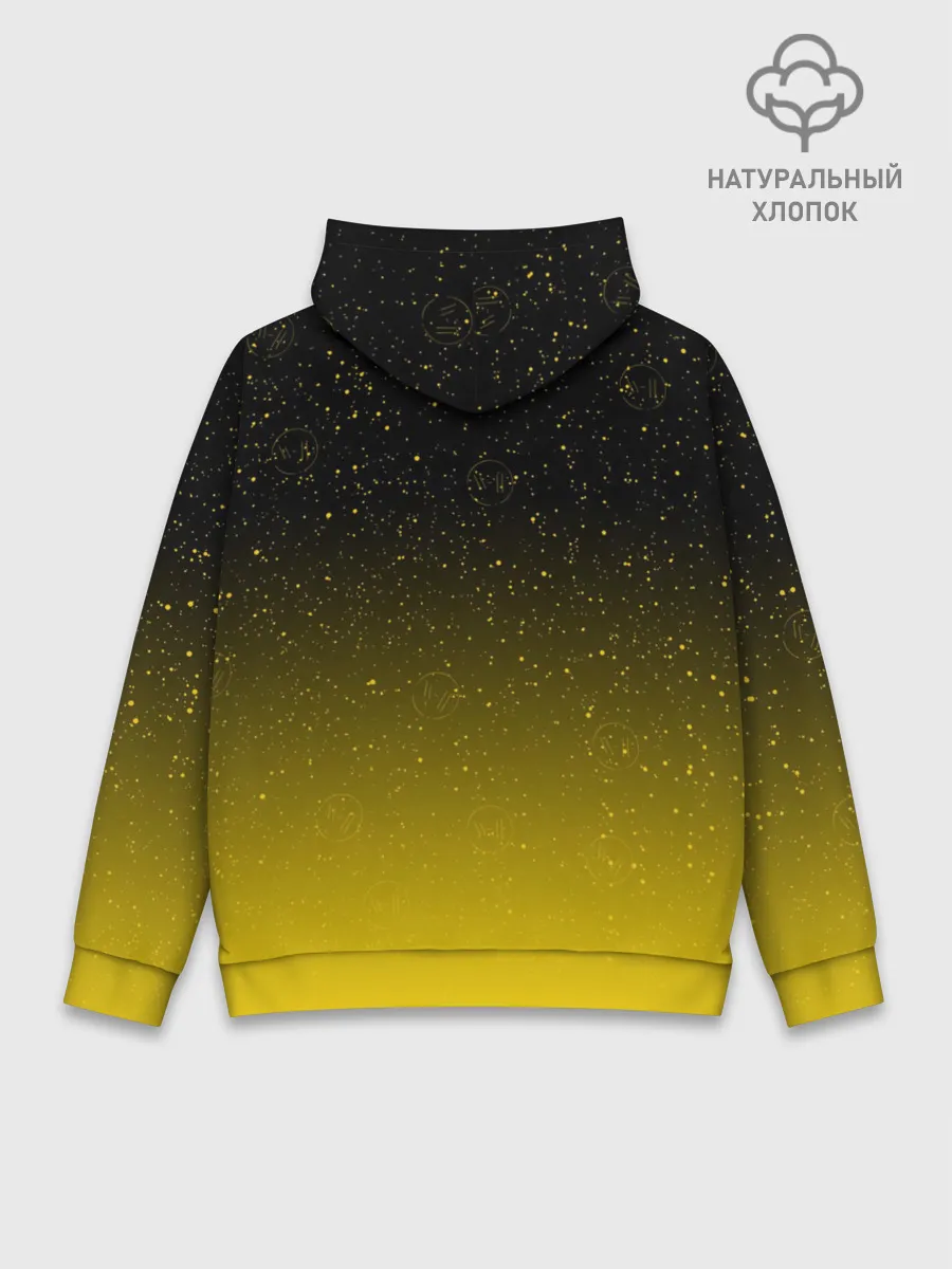 Худи мужской база хлопок / TWENTY ONE PILOTS TOP