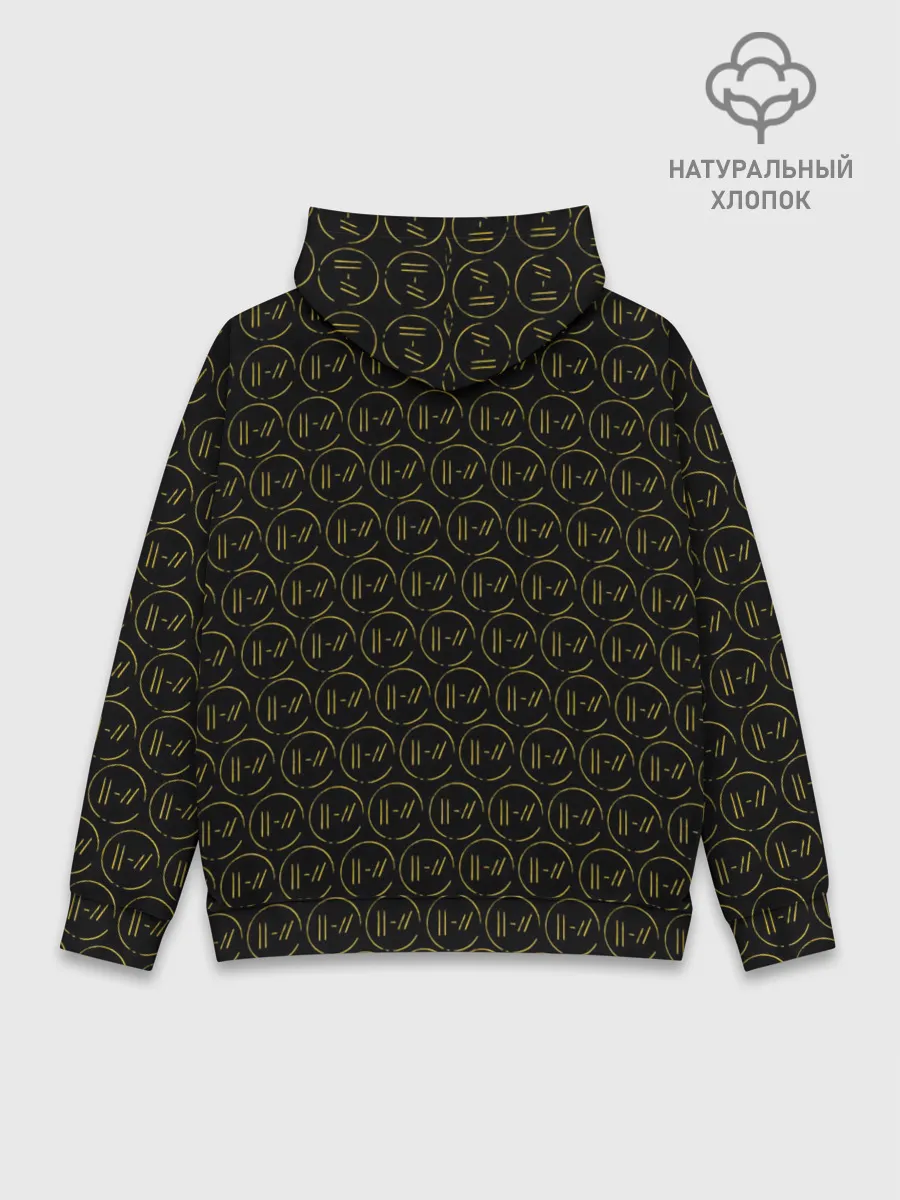 Худи мужской база хлопок / TWENTY ONE PILOTS / TOP