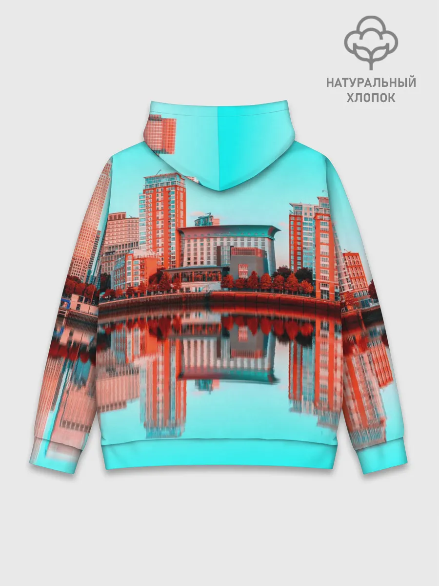 Худи мужской база хлопок / TWENTY ONE PILOTS