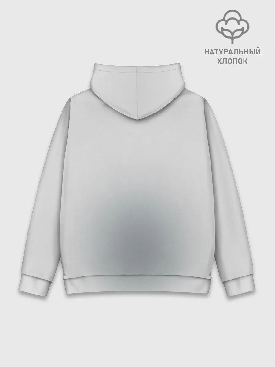 Худи мужской база хлопок / Snow