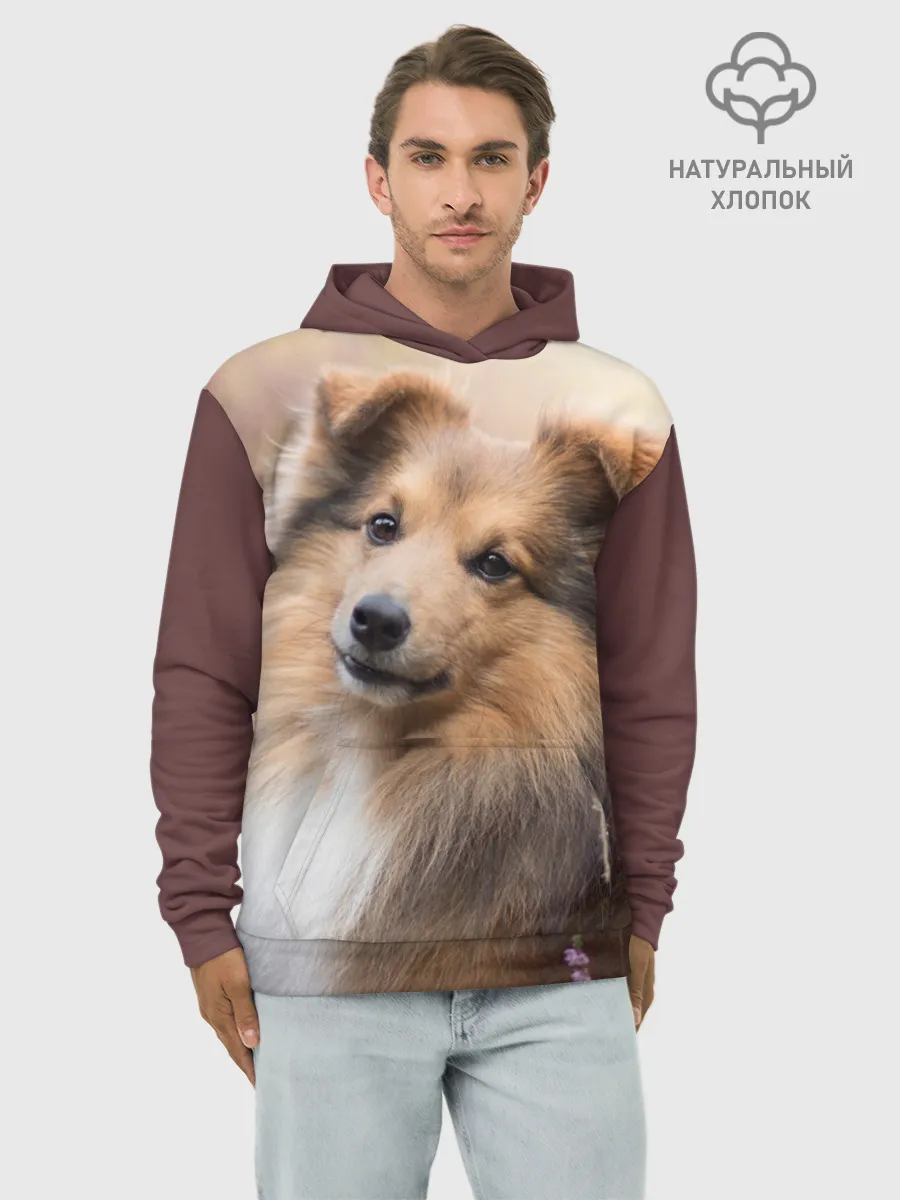 Худи мужской база хлопок / Шелти