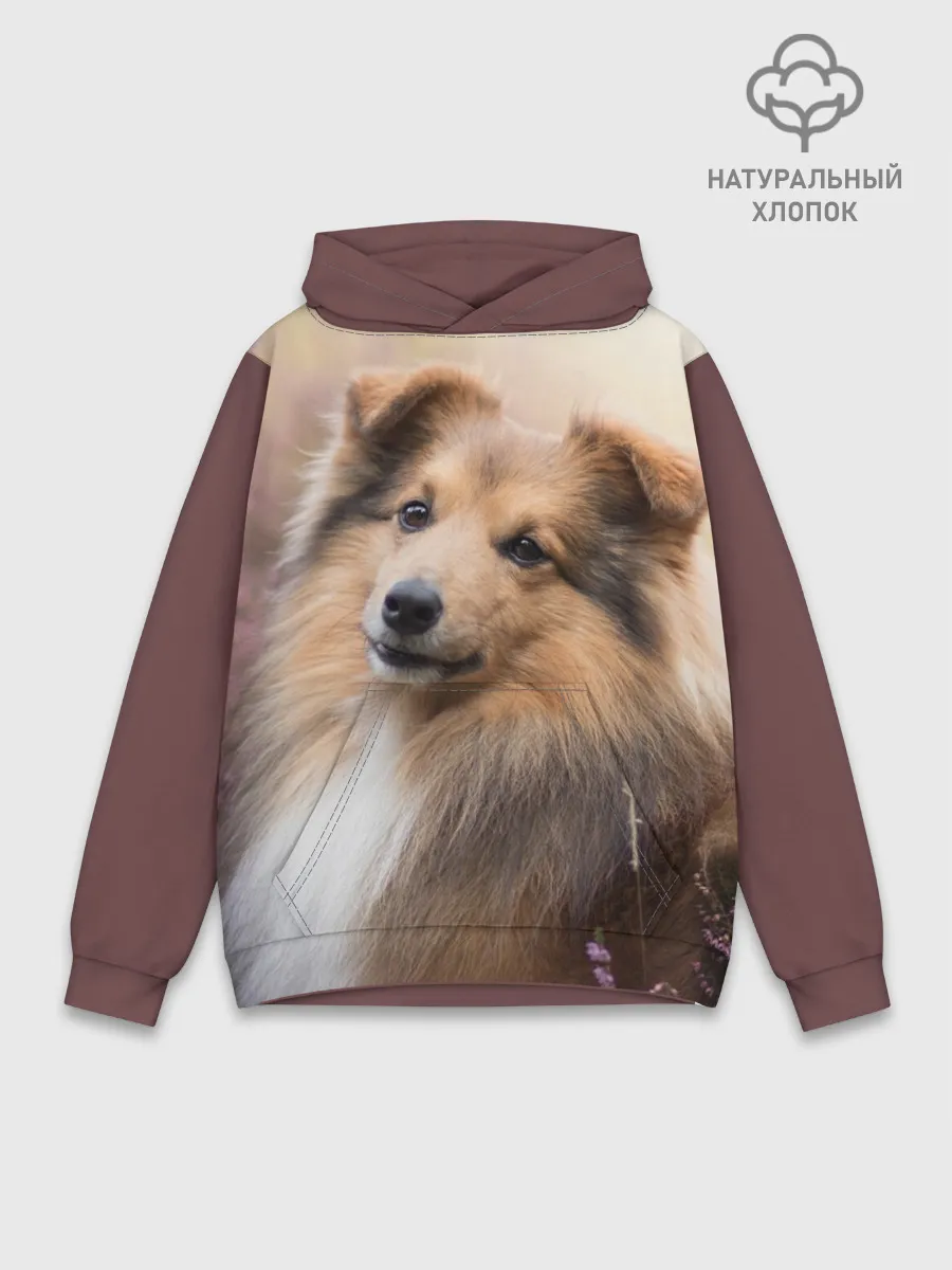 Худи мужской база хлопок / Шелти