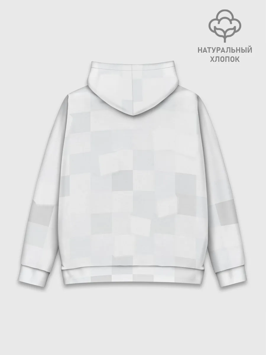 Худи мужской база хлопок / Aperture Labs