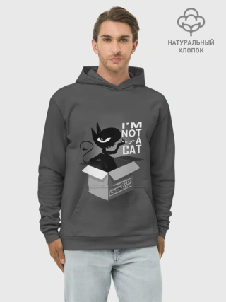 Худи мужской база хлопок / Disenchantment. Im not a Cat