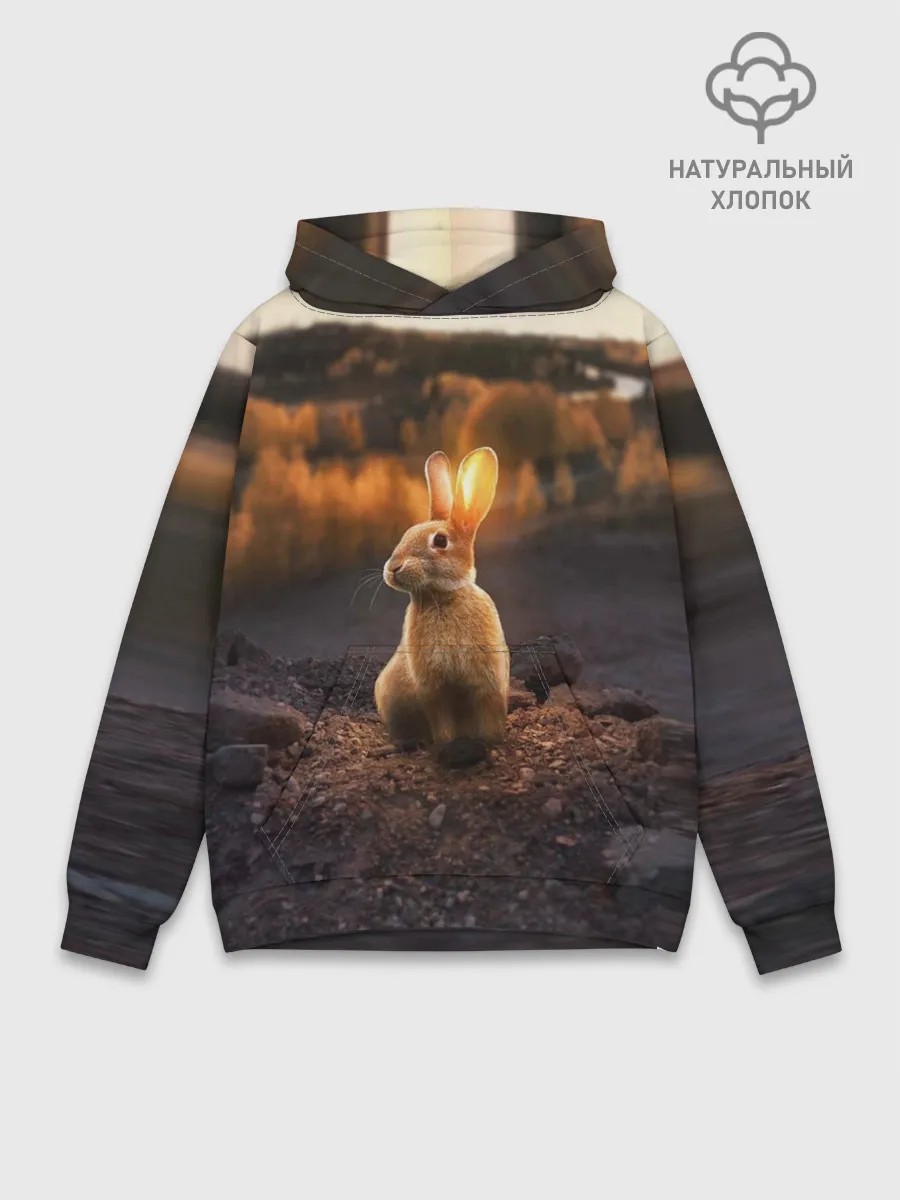 Худи мужской база хлопок / Солнечный зайчик