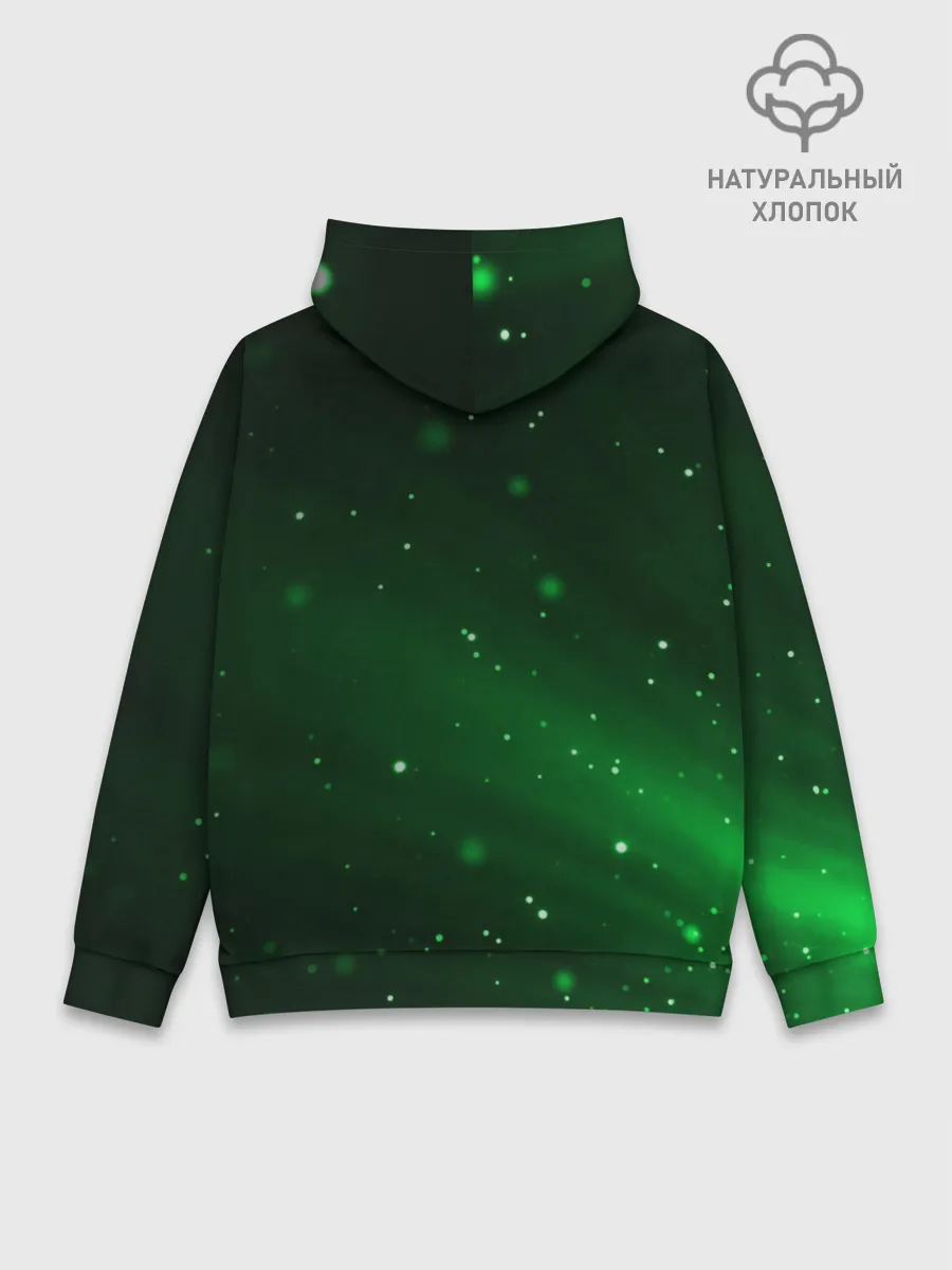 Худи мужской база хлопок / GWENT Logo