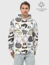 Худи мужской база хлопок / Котики