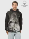 Худи мужской база хлопок / Лев и львица