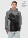 Худи мужской база хлопок / Котик