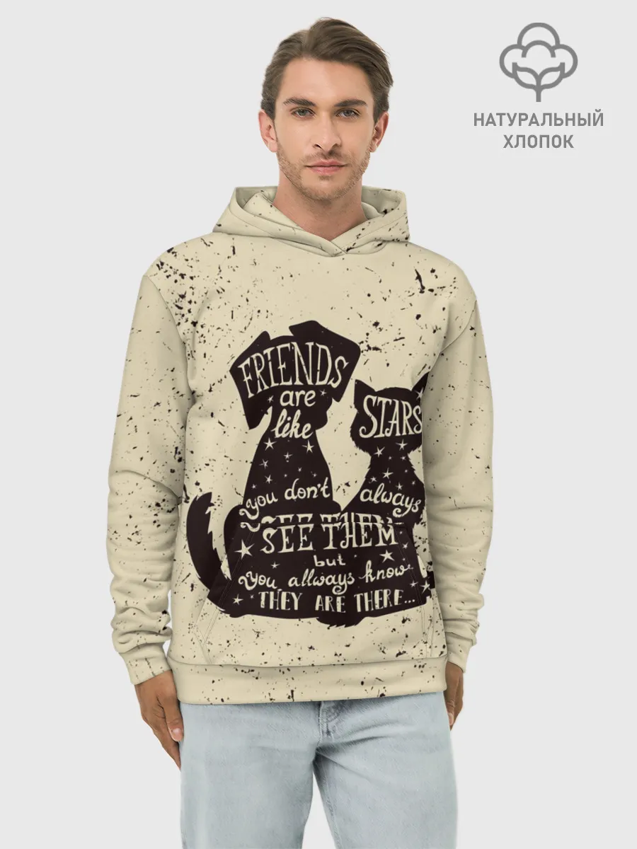 Худи мужской база хлопок / Friends